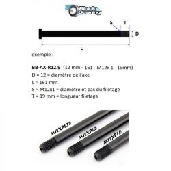 Axe de roue Blackbearing - F12.6 (12 mm - 121 - M12x1.5 - 13,5 mm)