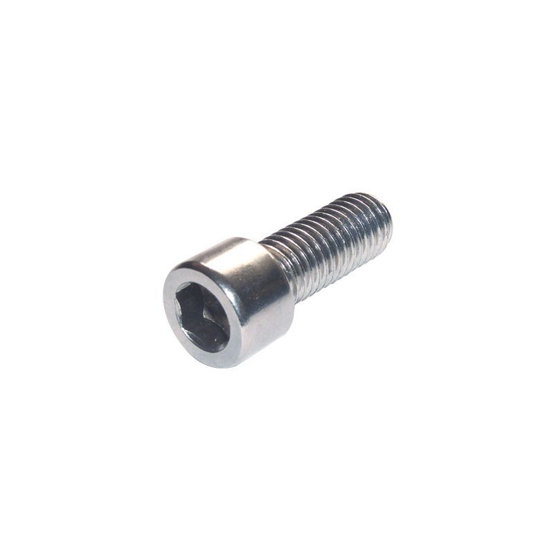 Vis inox - BLACKBEARING - m6x25 chc - Pack of 15 Viss