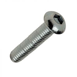 vis inox - BLACKBEARING - m5 x 8 tbhc - Pack of 25 Screws